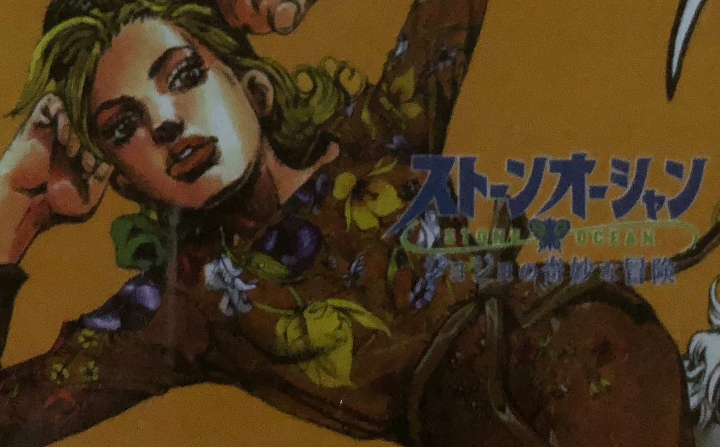 Anime JoJo's Bizarre Adventure: Stone Ocean Double Sided Plastic Card - Kiwi Kids Boutique