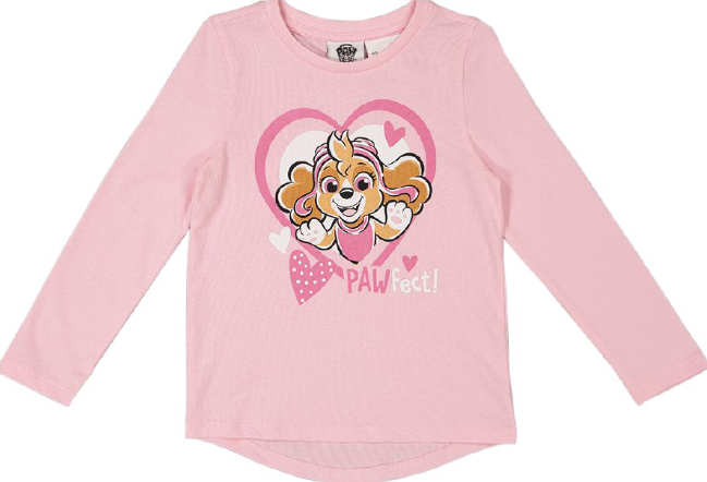 Paw Patrol Pawfect T-Shirt Long Sleeved - Kiwi Kids Boutique