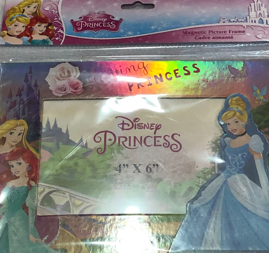 Disney Princess Magnetic Photo Frame - Kiwi Kids Boutique